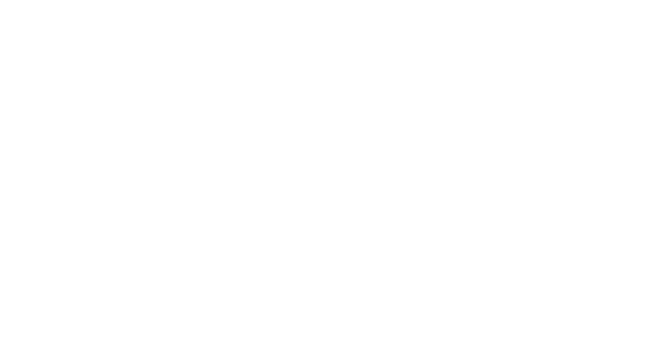C.SANTOS